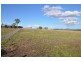 51 Allan Cunningham Rd, Scone NSW 2337