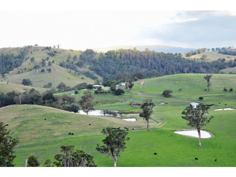 . “Beresford”, Paterson River Rd, Lostock via, Gresford NSW 2311