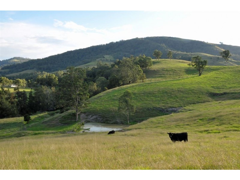 . “Beresford”, Paterson River Rd, Lostock via, Gresford NSW 2311