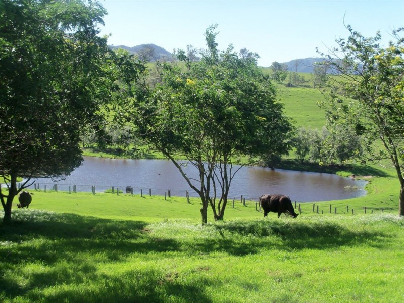 . “Beresford”, Paterson River Rd, Lostock via, Gresford NSW 2311