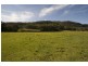 655 Dry Creek Rd, “Pleasant Valley”, Scone NSW 2337