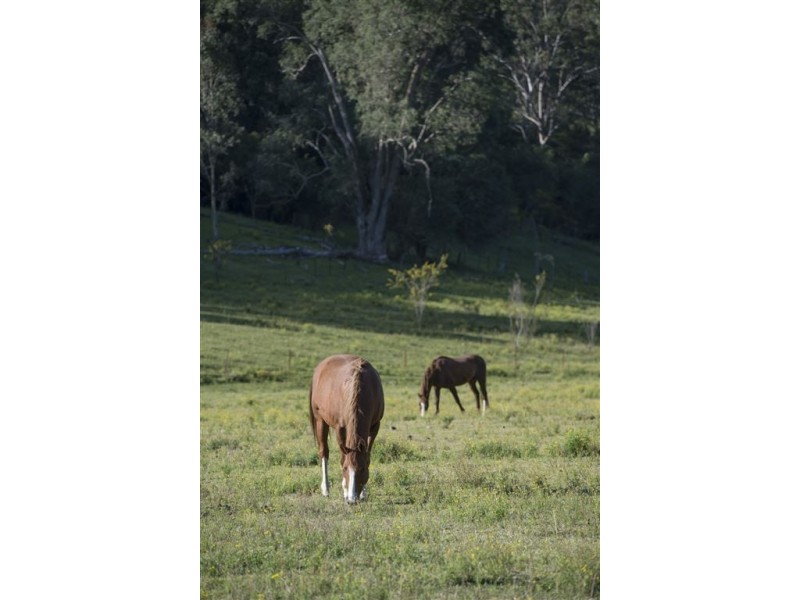 655 Dry Creek Rd, “Pleasant Valley”, Scone NSW 2337