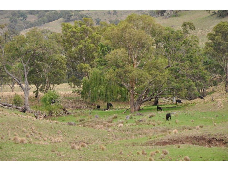 Lot 2 Upper Dartbrook Rd, “Towarri”, Scone NSW 2337
