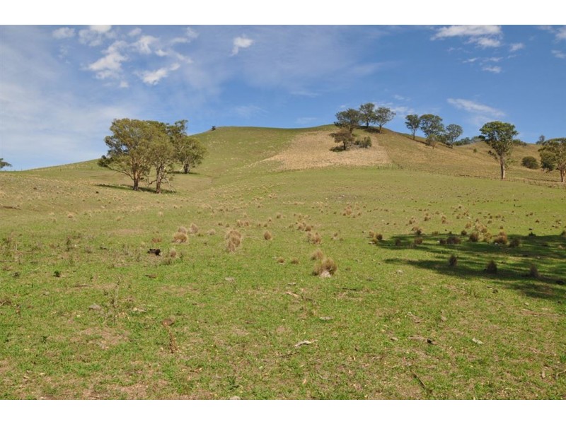 Lot 2 Upper Dartbrook Rd, “Towarri”, Scone NSW 2337