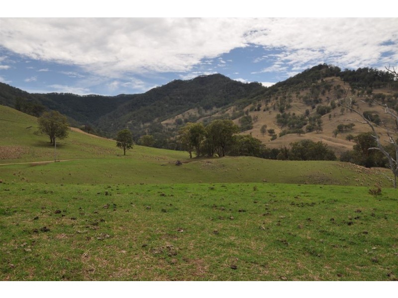 Lot 2 Upper Dartbrook Rd, “Towarri”, Scone NSW 2337