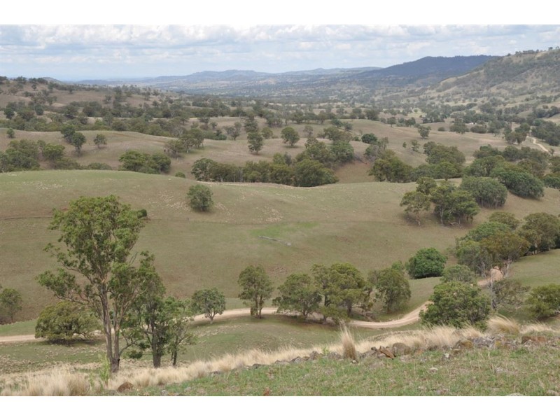 Lot 2 Upper Dartbrook Rd, “Towarri”, Scone NSW 2337