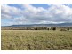 . Allan Cunningham Rd, Scone NSW 2337