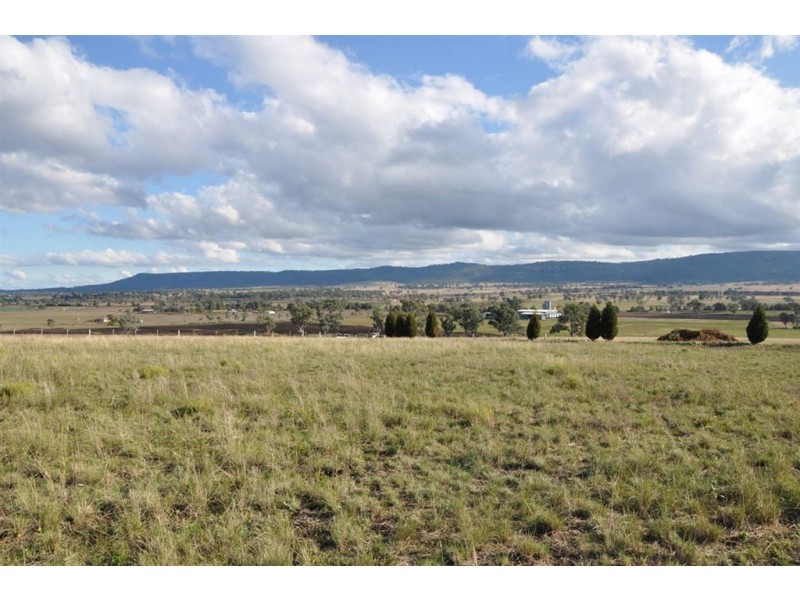 . Allan Cunningham Rd, Scone NSW 2337