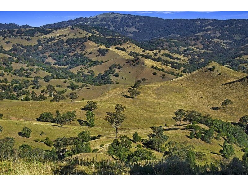 171 Chilcotts Creek Rd, “Highlands”, Willow Tree NSW 2339