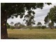 13 Allan Cunningham Rd, Scone NSW 2337