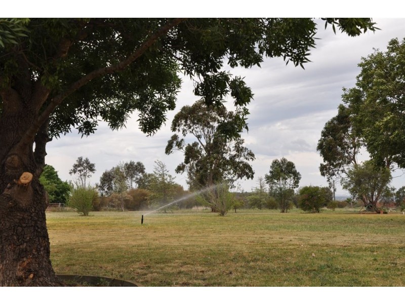 13 Allan Cunningham Rd, Scone NSW 2337