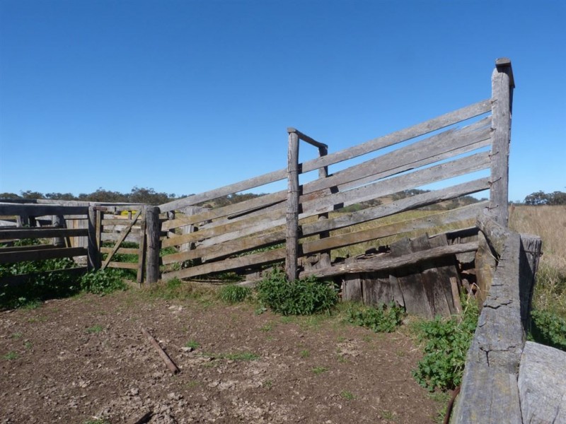 . “The Racecourse” Racecourse Rd, Borambil via, Cassilis NSW 2329