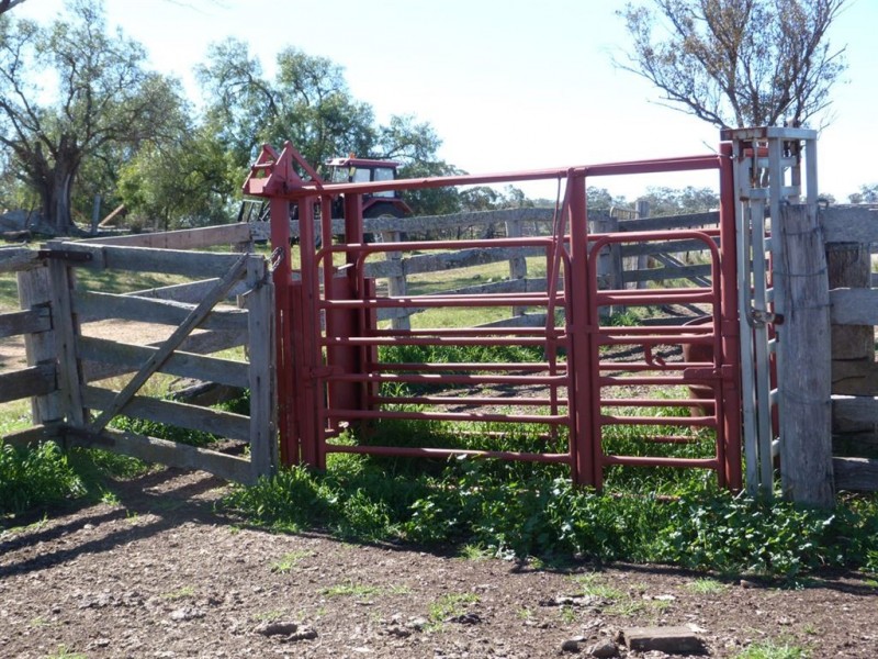 . “The Racecourse” Racecourse Rd, Borambil via, Cassilis NSW 2329