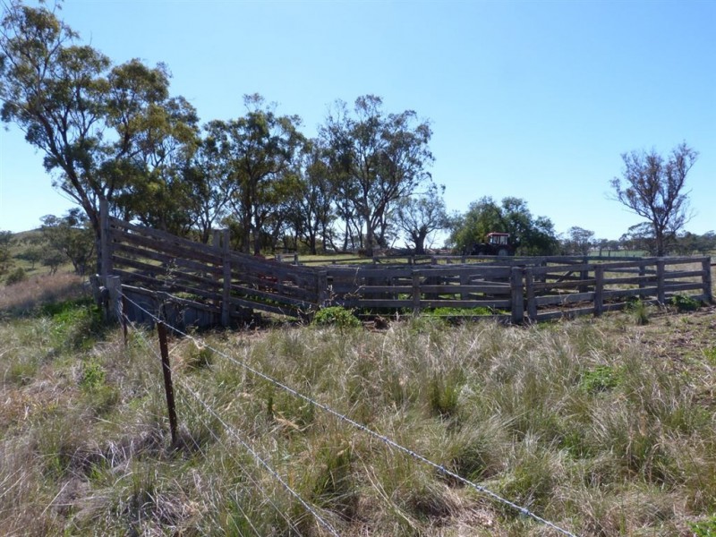 . “The Racecourse” Racecourse Rd, Borambil via, Cassilis NSW 2329