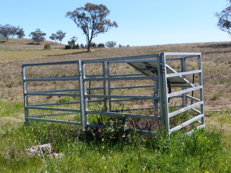 . “The Racecourse” Racecourse Rd, Borambil via, Cassilis NSW 2329