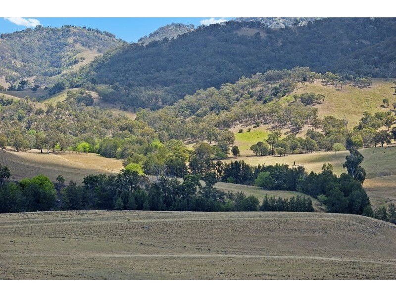 312 Miranee Rd, “Miranee” Gundy via, Scone NSW 2337