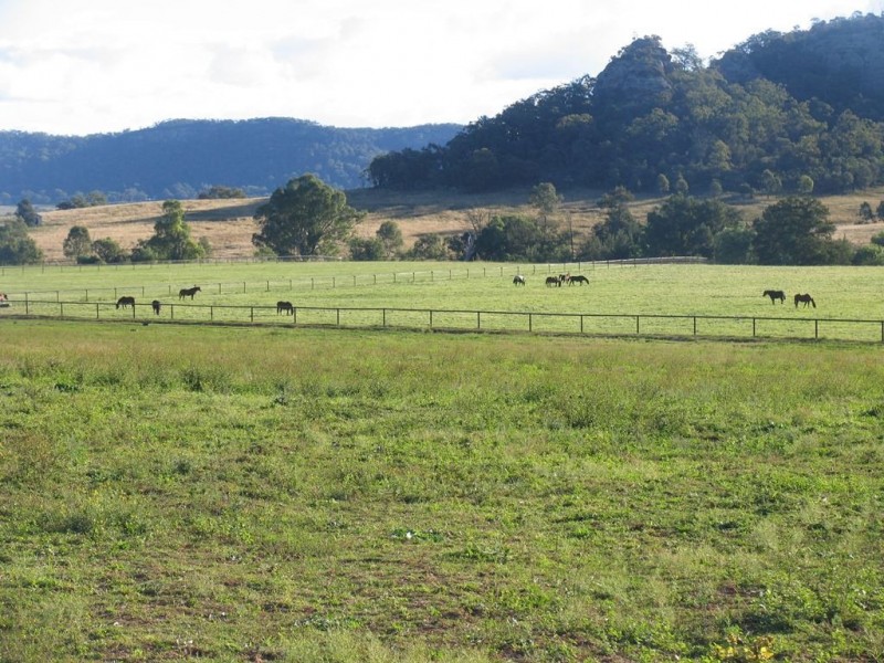 310 Rosemount Rd, “Riverslea Farm”, Denman NSW 2328