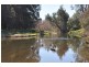 . “Eastview” Rouchel Rd, Aberdeen NSW 2336