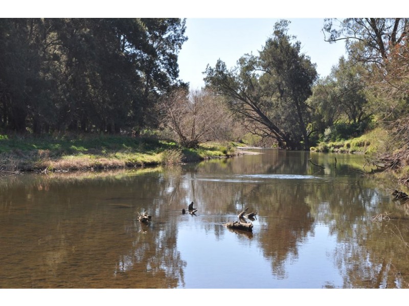 . “Eastview” Rouchel Rd, Aberdeen NSW 2336