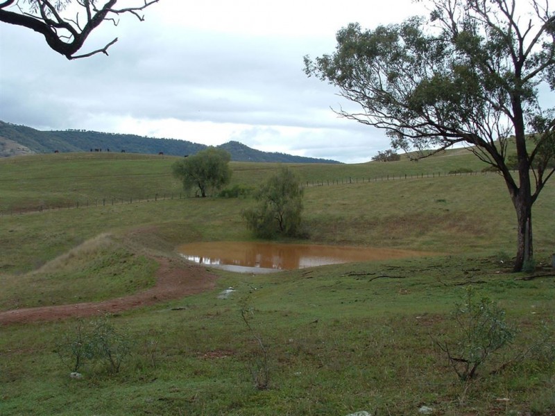 1265 Gundy Rd “Tingara”, Scone NSW 2337