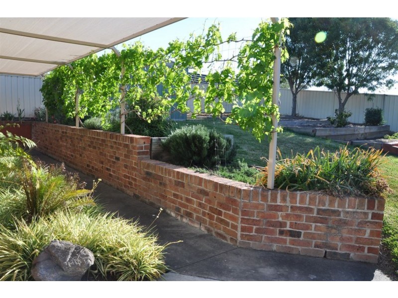 3 Fitzgerald Ave, Muswellbrook NSW 2333