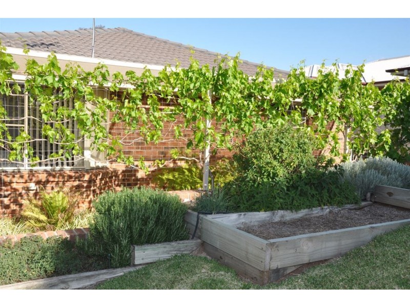 3 Fitzgerald Ave, Muswellbrook NSW 2333