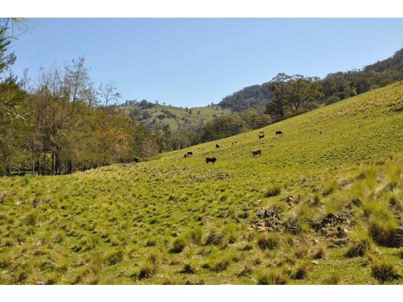 . “Beales Creek” Beales Creek Rd, Kars Springs via, Scone NSW 2337