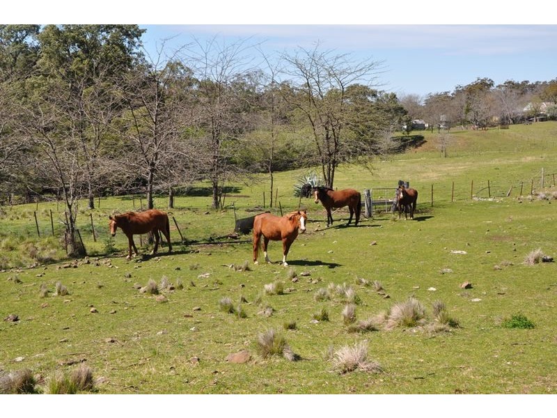 . “Beales Creek” Beales Creek Rd, Kars Springs via, Scone NSW 2337