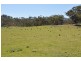 . “Beales Creek” Beales Creek Rd, Kars Springs via, Scone NSW 2337
