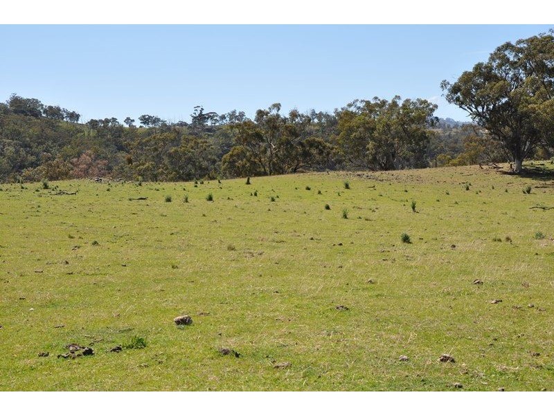 . “Beales Creek” Beales Creek Rd, Kars Springs via, Scone NSW 2337