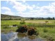 . Roach St, Parkville via, Scone NSW 2337