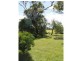 . Roach St, Parkville via, Scone NSW 2337