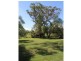 . Roach St, Parkville via, Scone NSW 2337