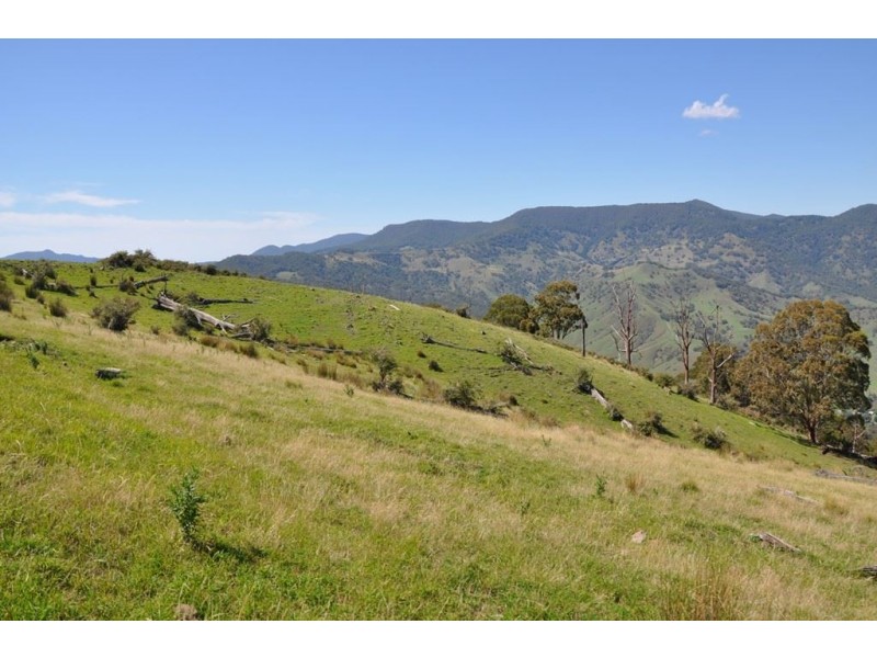 1788 Stewarts Brook Rd, “Old Trafford”, Stewarts Brook NSW 2337