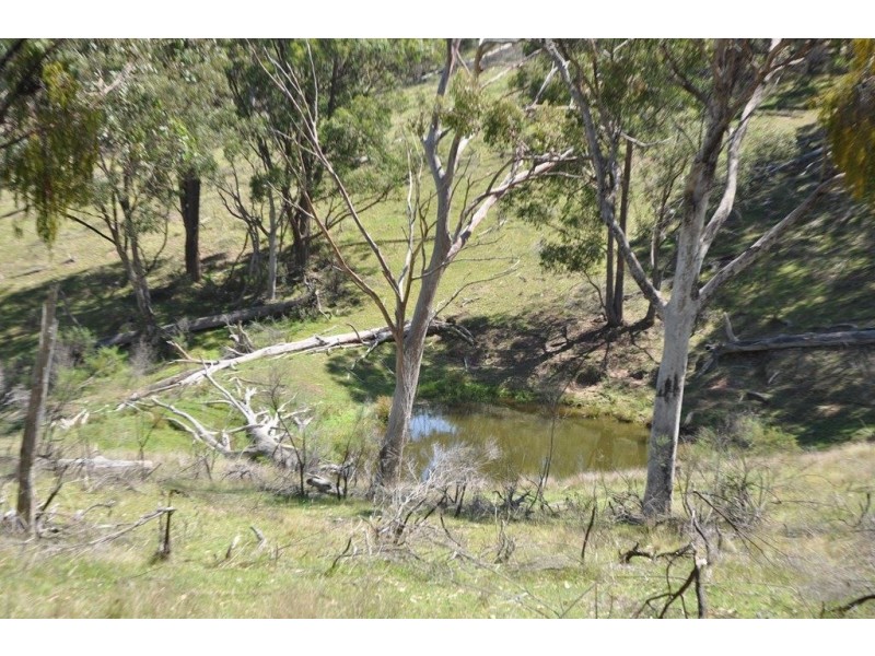 1788 Stewarts Brook Rd, “Old Trafford”, Stewarts Brook NSW 2337