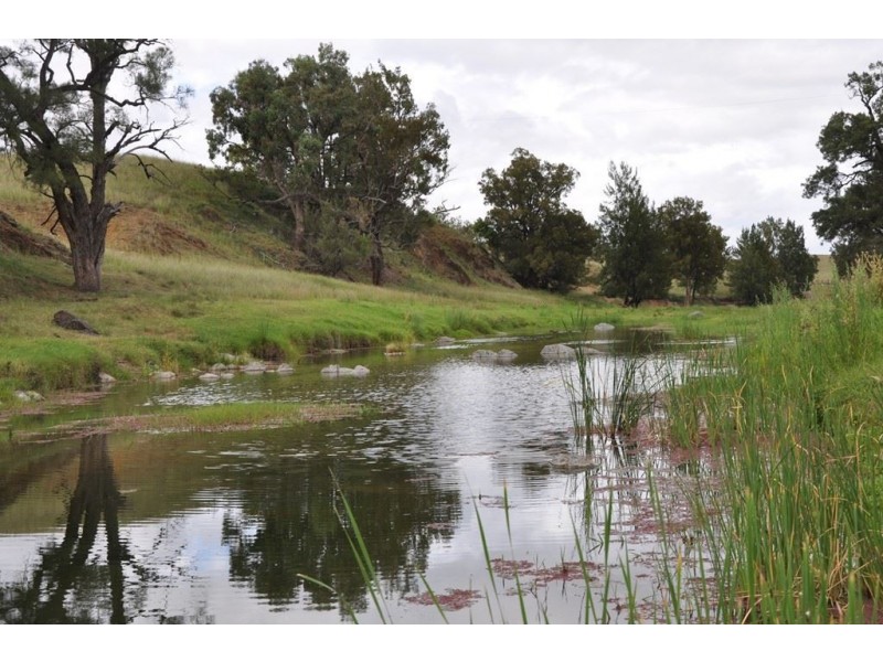 1797 Waverley Rd, “Takora”, Gundy via, Scone NSW 2337