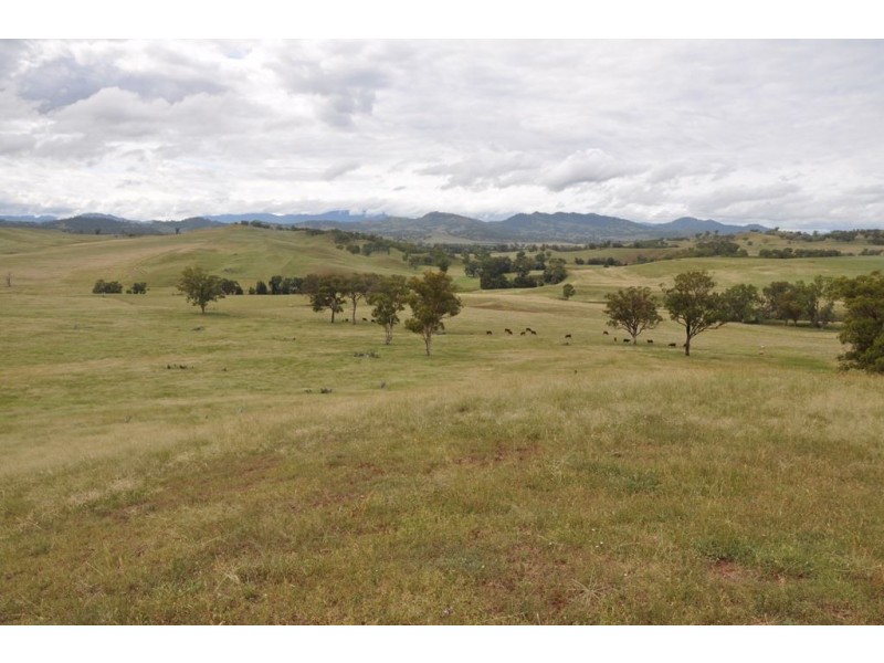 1797 Waverley Rd, “Takora”, Gundy via, Scone NSW 2337