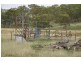 1797 Waverley Rd, “Takora”, Gundy via, Scone NSW 2337