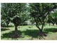 Lot 1 Kingdon St, The Old Wingen Post Office, Wingen via, Scone NSW 2337