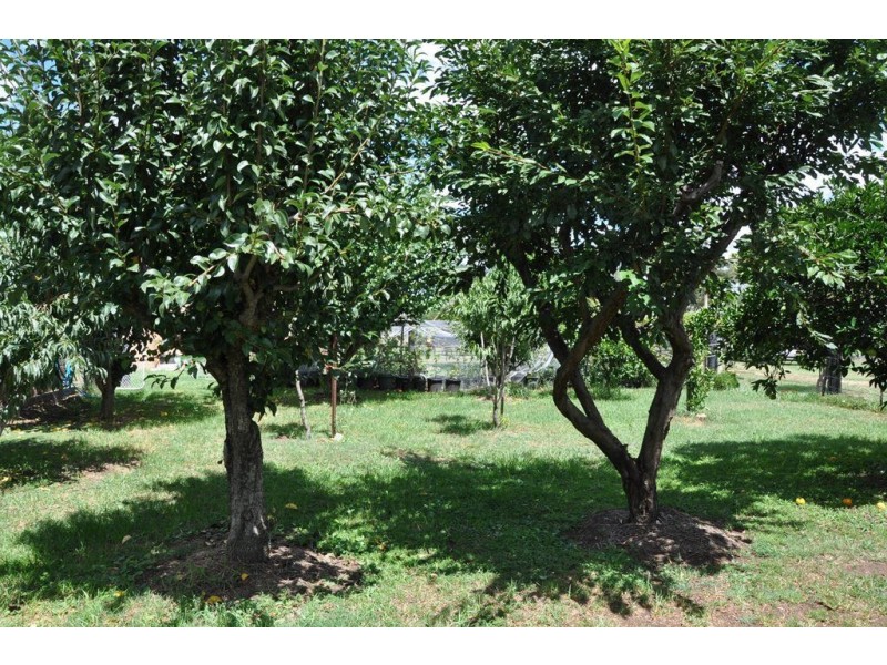 Lot 1 Kingdon St, The Old Wingen Post Office, Wingen via, Scone NSW 2337