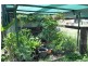 Lot 1 Kingdon St, The Old Wingen Post Office, Wingen via, Scone NSW 2337