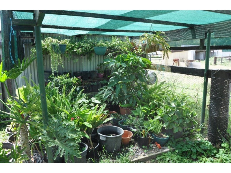 Lot 1 Kingdon St, The Old Wingen Post Office, Wingen via, Scone NSW 2337