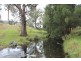 1960 Upper Rouchel Rd, “Cock Crow” Upper Rouchel via, Aberdeen NSW 2336