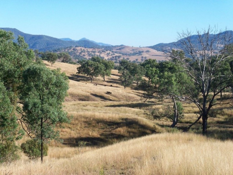 750 Waverley Rd “Derwent”, Gundy NSW 2337