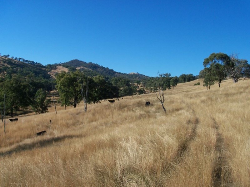 750 Waverley Rd “Derwent”, Gundy NSW 2337