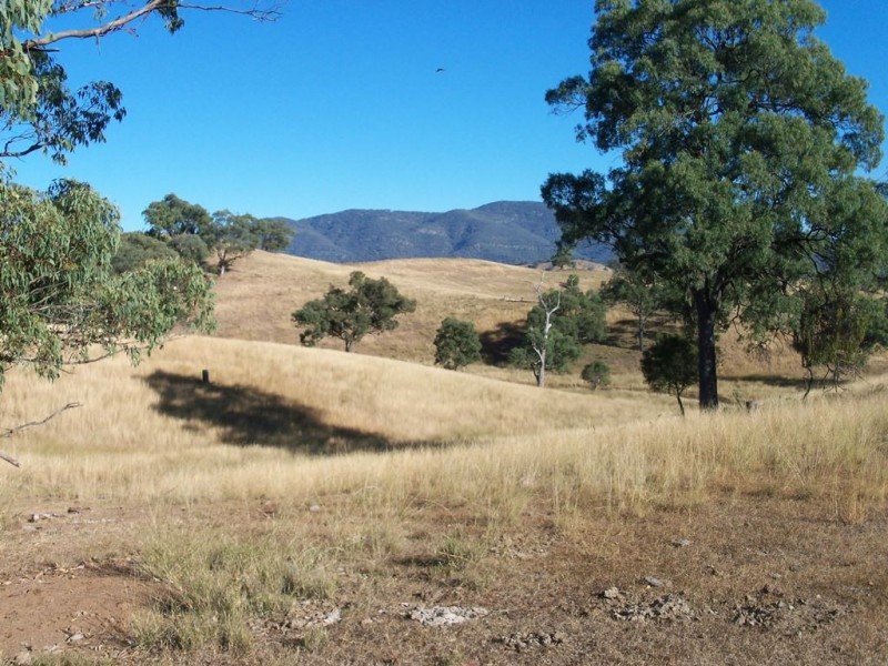 750 Waverley Rd “Derwent”, Gundy NSW 2337