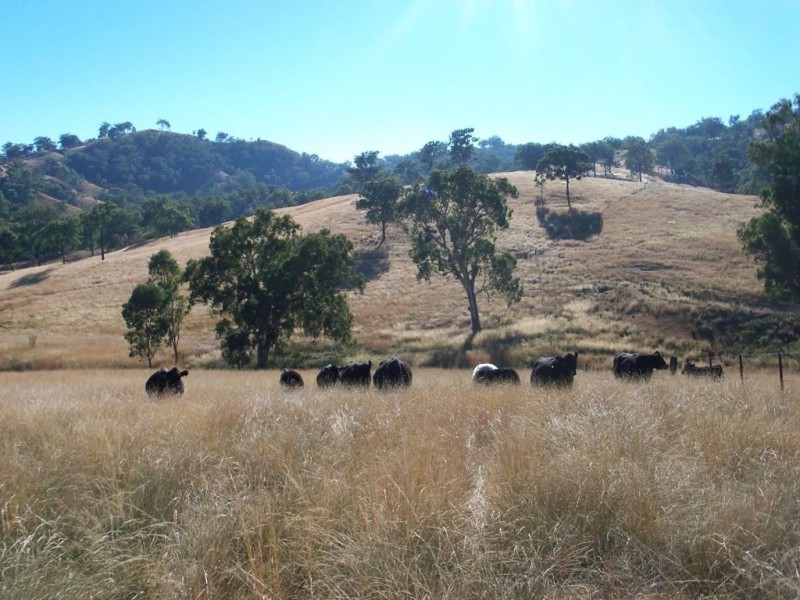 750 Waverley Rd “Derwent”, Gundy NSW 2337