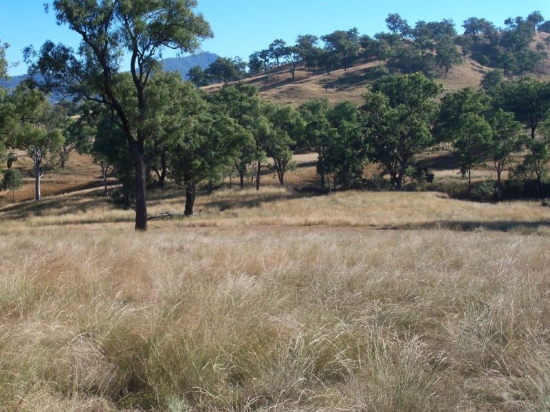 750 Waverley Rd “Derwent”, Gundy NSW 2337