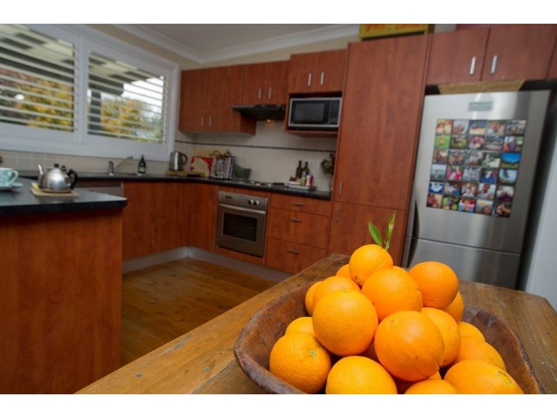 98 St Aubins St, Scone NSW 2337