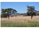 Lot 1 St Aubins Estate, Gundy Rd, Scone NSW 2337